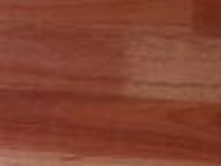 Grey Gum